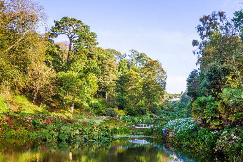 Trebah Garden , United Kingdom